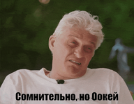 сомнительно-но-окей.png