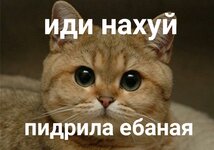 ec94fbfaf324f64b9d695dbedc4b6b5a.jpg