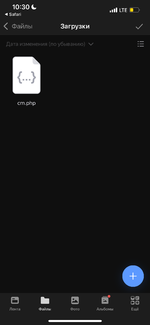 IMG_2979.png