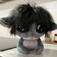 kiwqs1