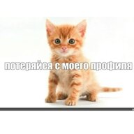 ᴅᴋᴀᴋsᴋᴅsᴀsд