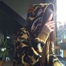 nirvana xf