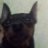 kirill05101998