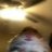 Dinnerbone3114